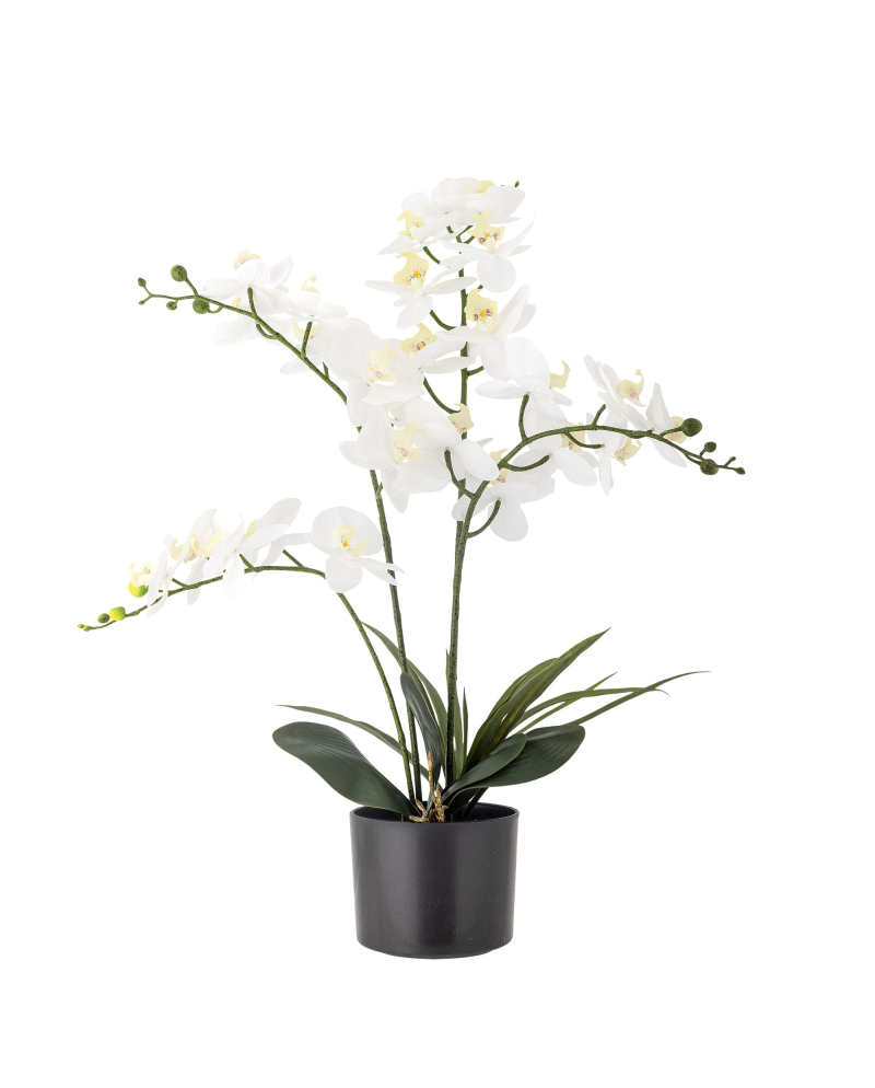 Plante Artificielle Orchid Bloomingville - Vert