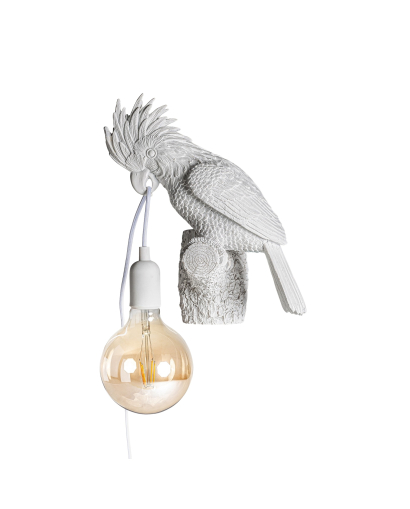 PETITE BOUSSOLE  -Luminaires