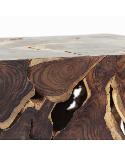 Table Basse Sabha en Bois de Pasania - Naturel