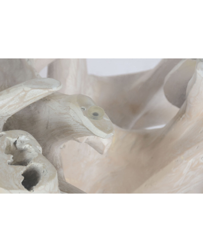 Table Basse Café Raiz Cristal en Bois de Teck Décapé - Blanc