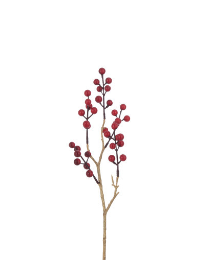 Fleurs Séchées Branche de Baies - Rouge et Or